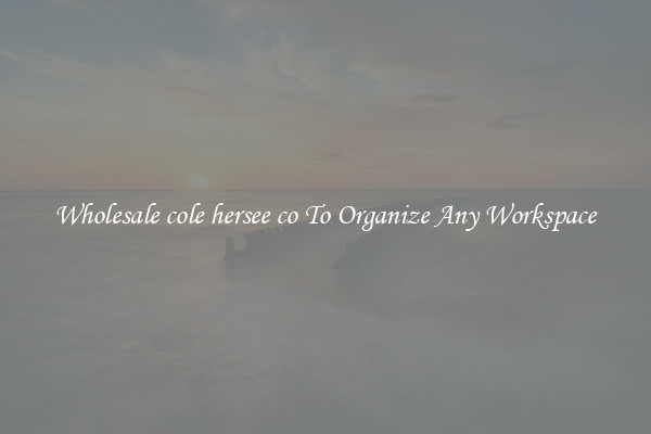 Wholesale cole hersee co To Organize Any Workspace