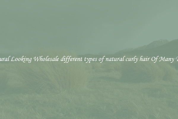 Natural Looking Wholesale different types of natural curly hair Of Many Types