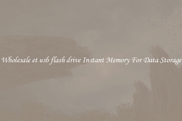 Wholesale et usb flash drive Instant Memory For Data Storage