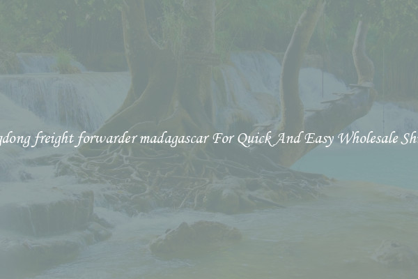guangdong freight forwarder madagascar For Quick And Easy Wholesale Shipping