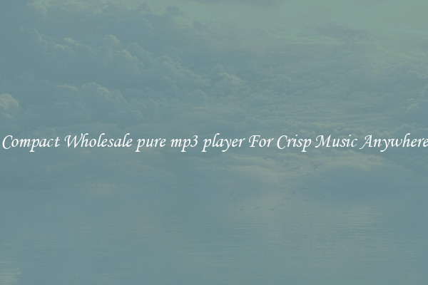 Compact Wholesale pure mp3 player For Crisp Music Anywhere