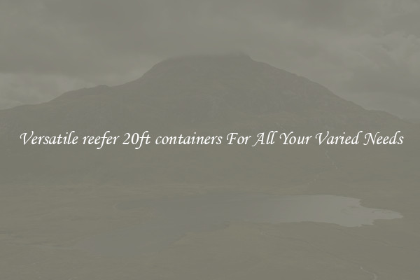 Versatile reefer 20ft containers For All Your Varied Needs