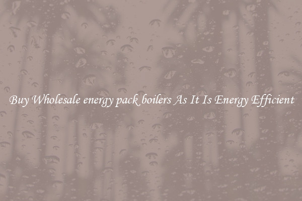 Buy Wholesale energy pack boilers As It Is Energy Efficient