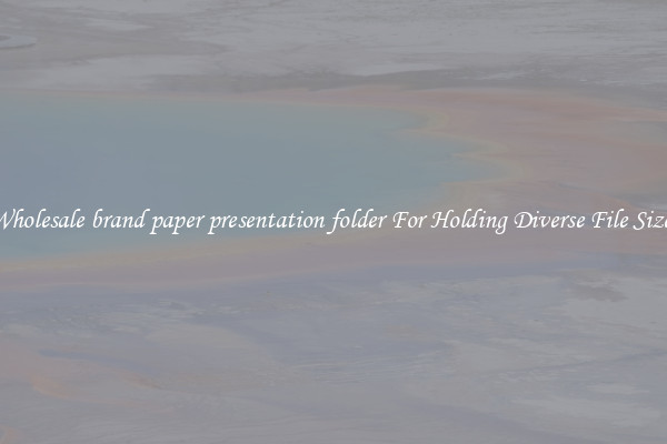 Wholesale brand paper presentation folder For Holding Diverse File Sizes