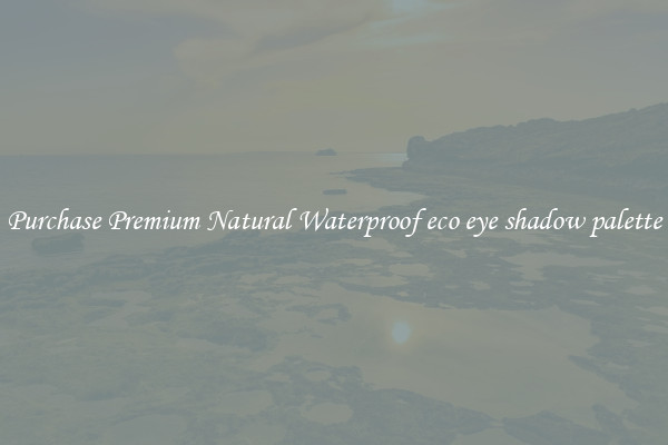 Purchase Premium Natural Waterproof eco eye shadow palette