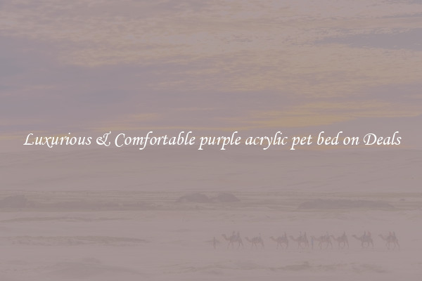 Luxurious & Comfortable purple acrylic pet bed on Deals
