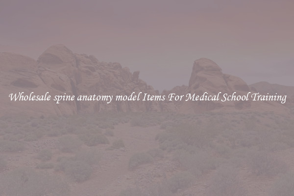 Wholesale spine anatomy model Items For Medical School Training