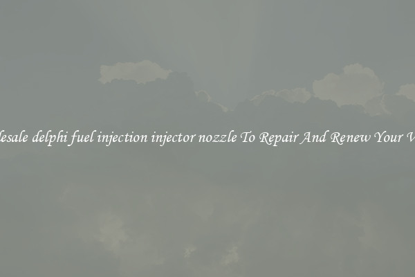 Wholesale delphi fuel injection injector nozzle To Repair And Renew Your Vehicle