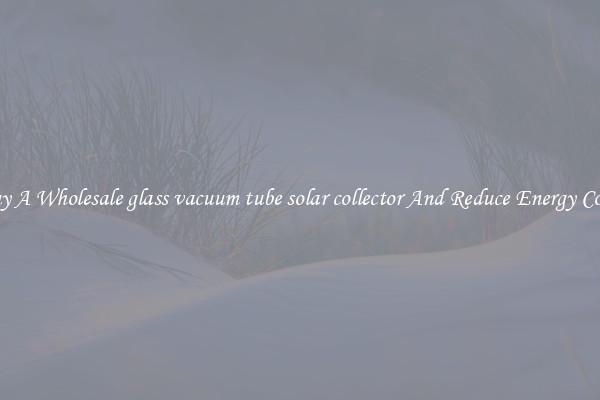 Buy A Wholesale glass vacuum tube solar collector And Reduce Energy Costs