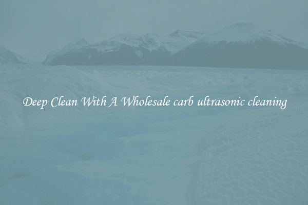 Deep Clean With A Wholesale carb ultrasonic cleaning