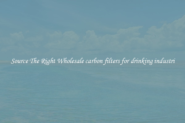 Source The Right Wholesale carbon filters for drinking industri