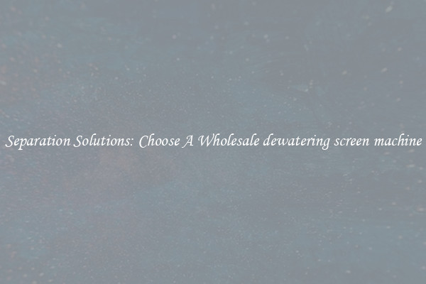 Separation Solutions: Choose A Wholesale dewatering screen machine