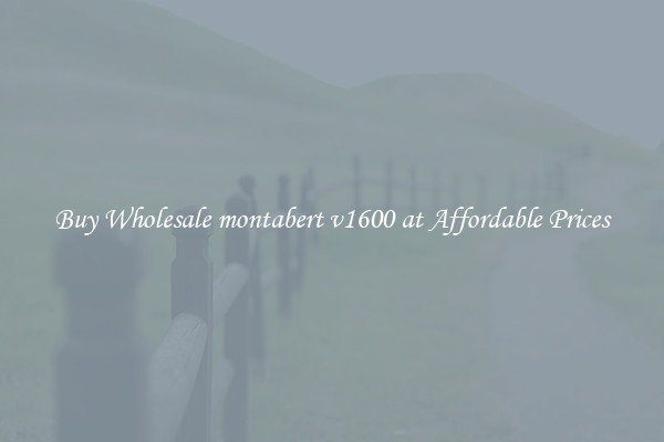 Buy Wholesale montabert v1600 at Affordable Prices