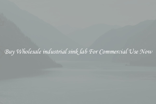 Buy Wholesale industrial sink lab For Commercial Use Now