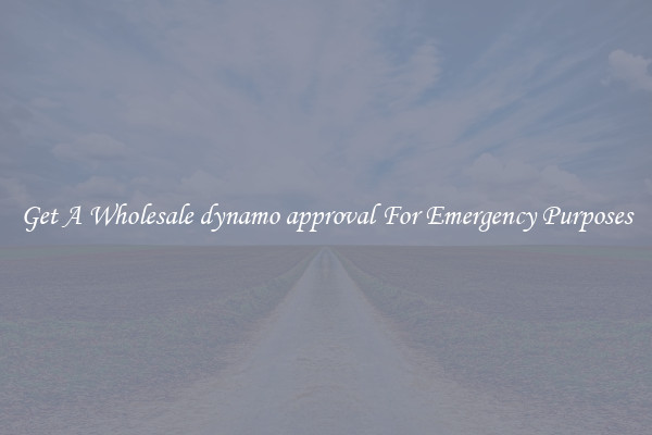 Get A Wholesale dynamo approval For Emergency Purposes