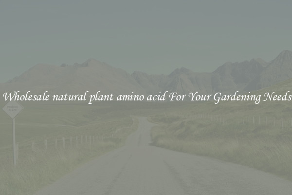Wholesale natural plant amino acid For Your Gardening Needs