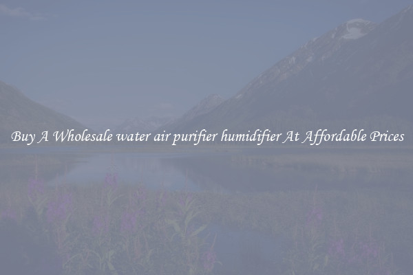 Buy A Wholesale water air purifier humidifier At Affordable Prices