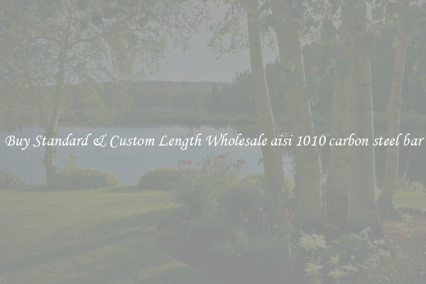 Buy Standard & Custom Length Wholesale aisi 1010 carbon steel bar