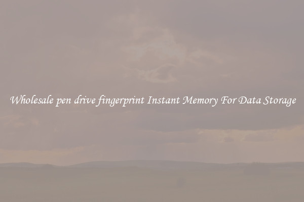 Wholesale pen drive fingerprint Instant Memory For Data Storage
