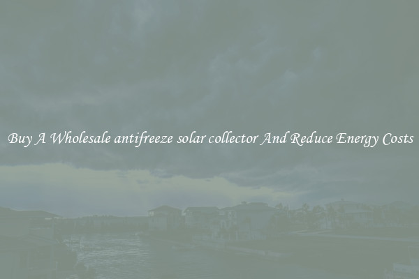 Buy A Wholesale antifreeze solar collector And Reduce Energy Costs