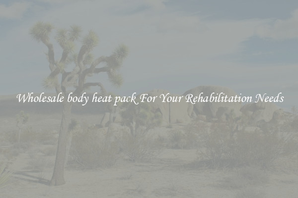 Wholesale body heat pack For Your Rehabilitation Needs