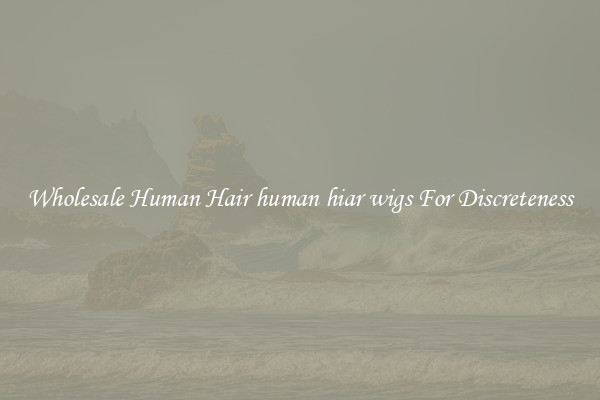 Wholesale Human Hair human hiar wigs For Discreteness
